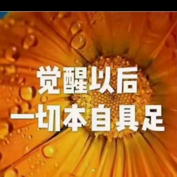 可欣413