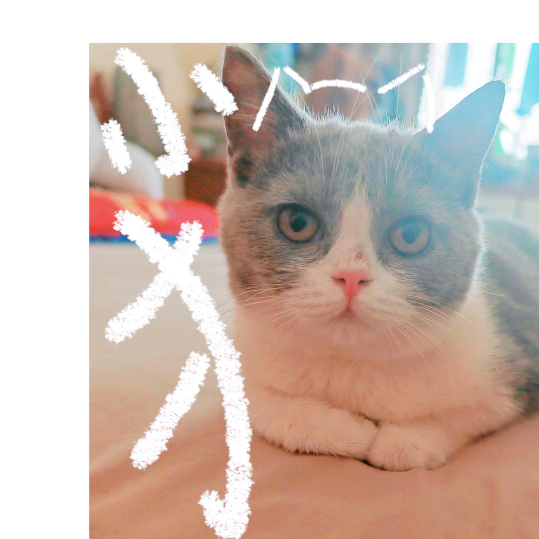 🌈玄玄🌈