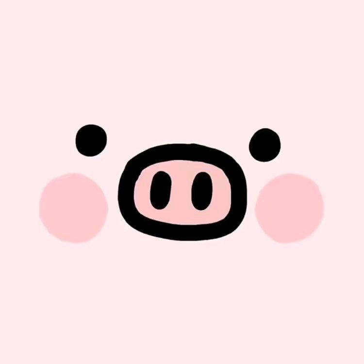 KK🐷