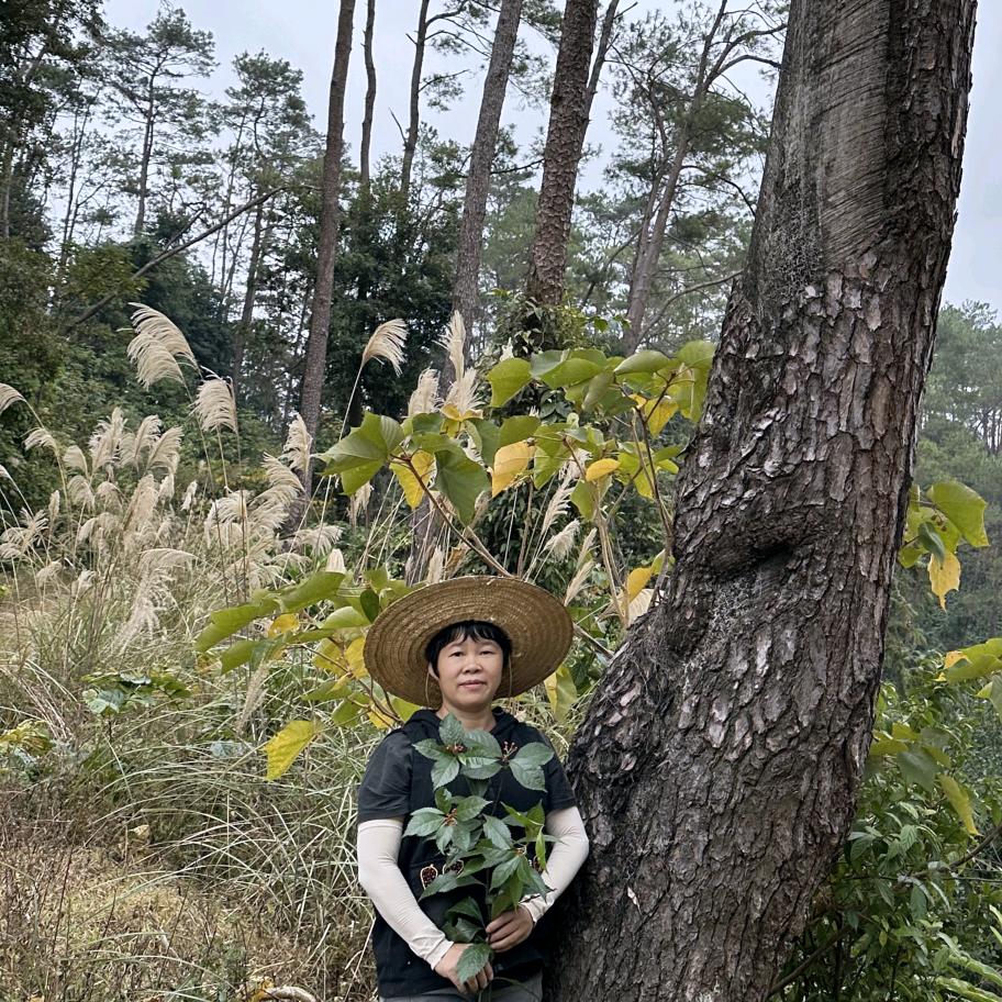 玉姐寻百草