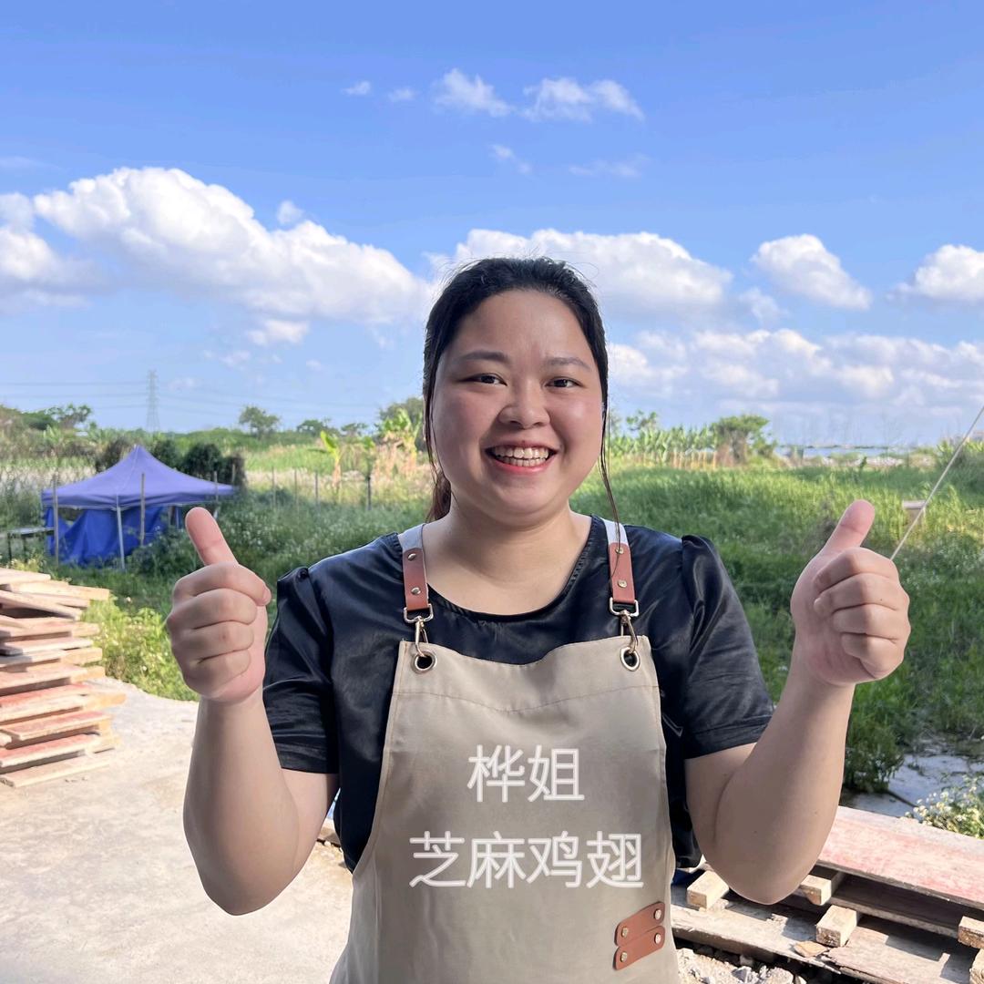 鸿泰桦姐芝麻鸡翅