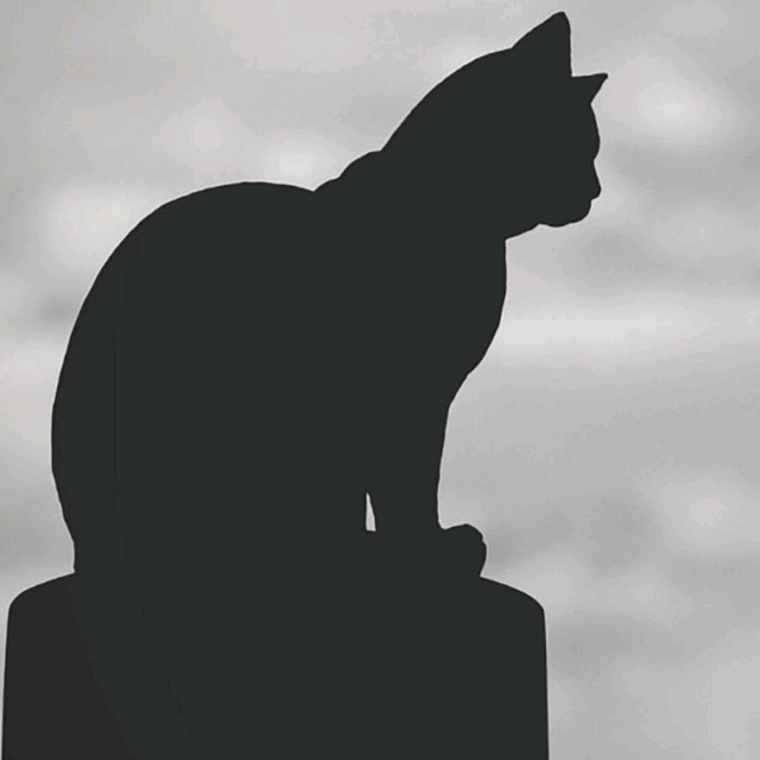 不知道叫什么名字