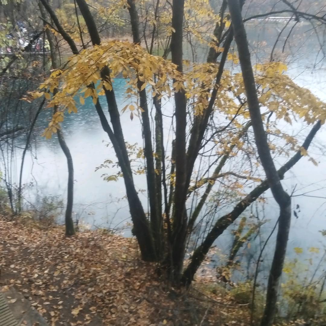 郫都区友爱镇魏氏车行