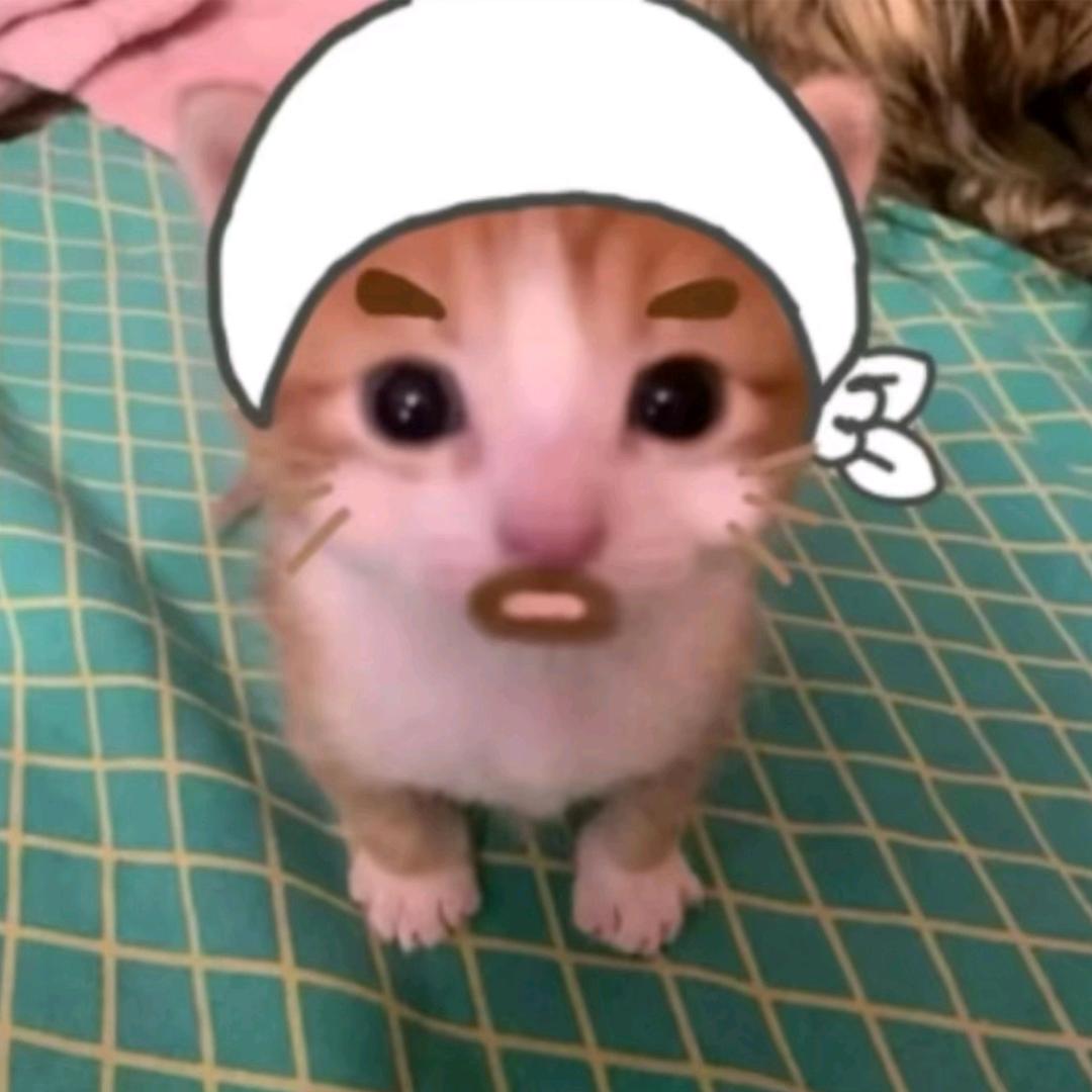 摇粒绒