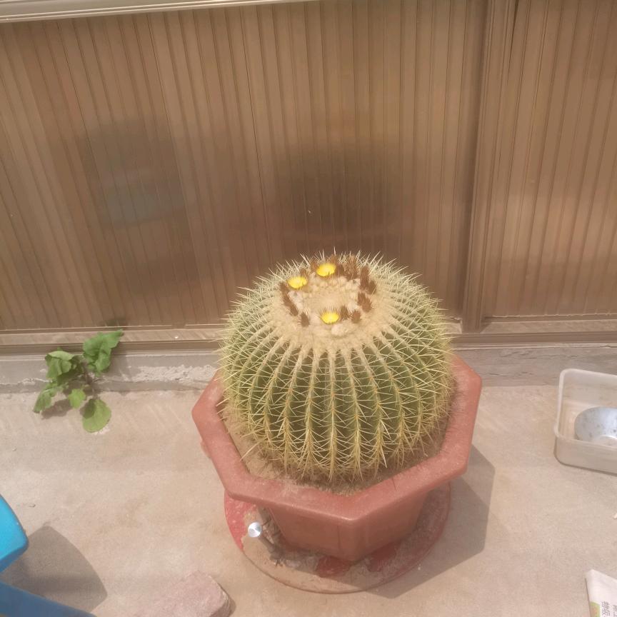 😀