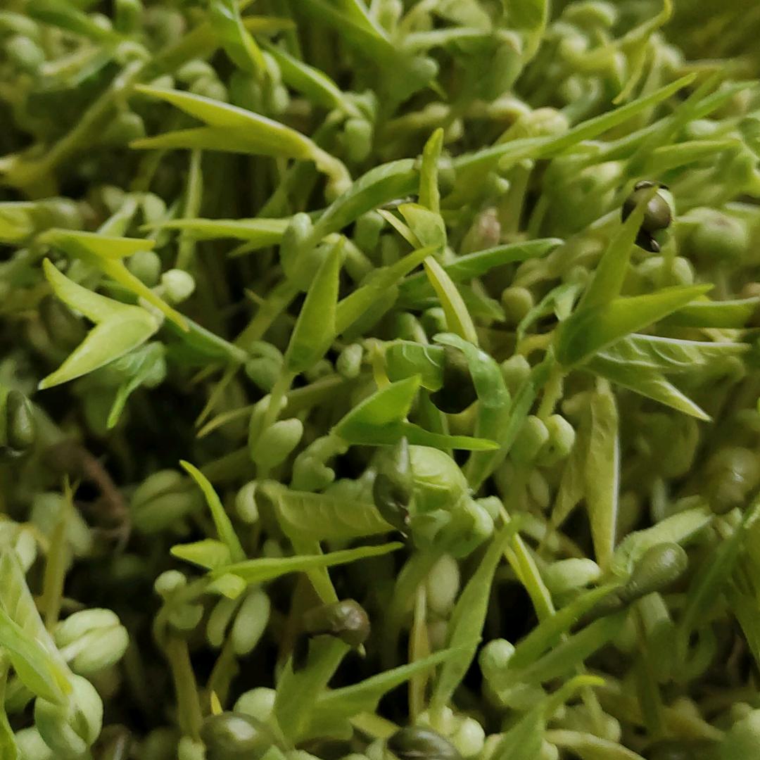 ℒℴѵℯ·¹³¹⁴ృ༊