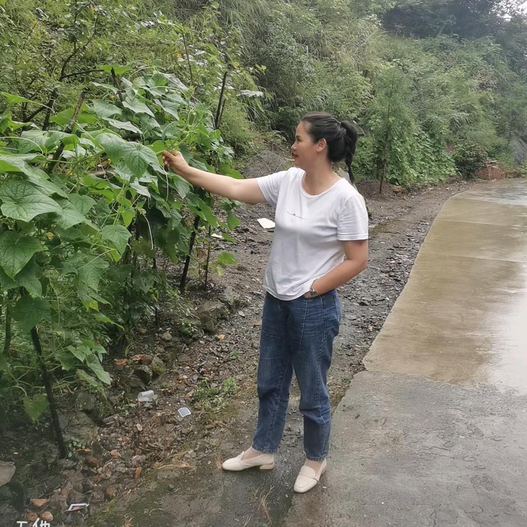 静思缘