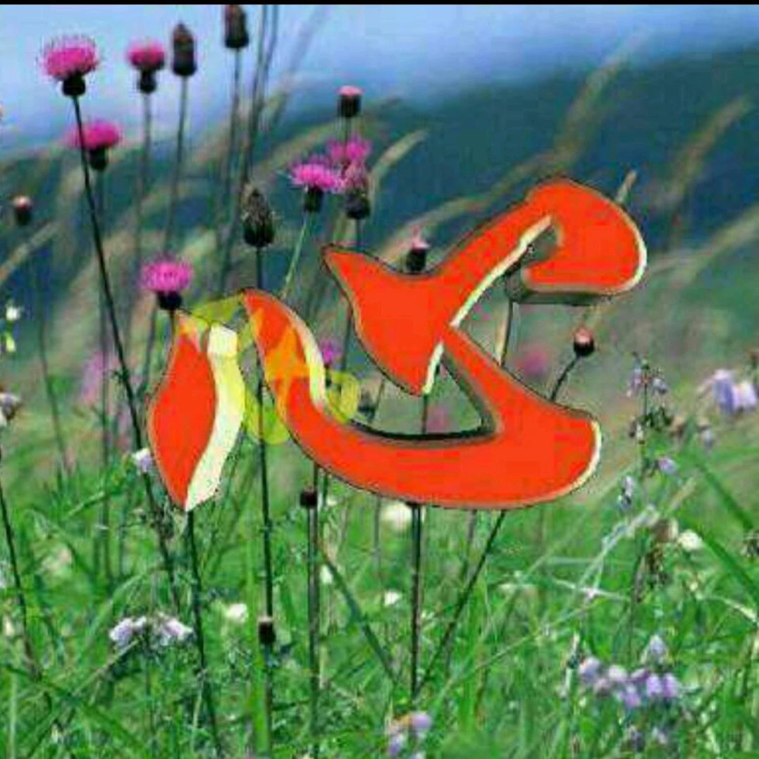 孤舟蓑笠翁，独钓寒江雪。（六六年的马）