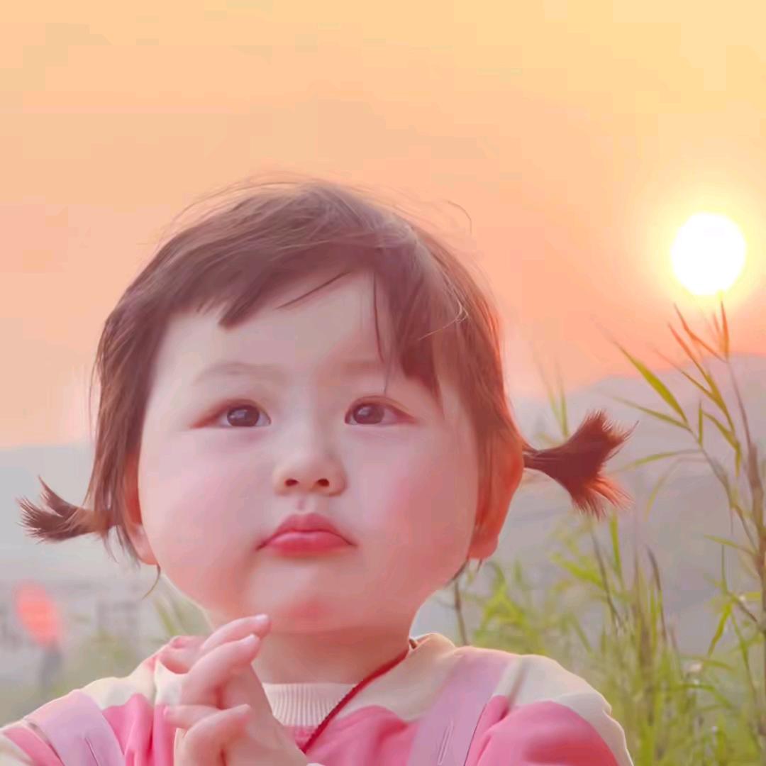 余生随心