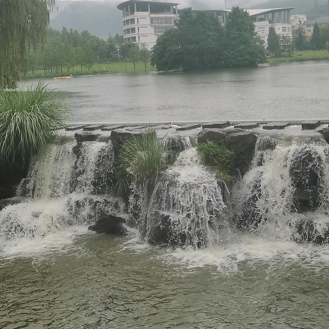 誰也不是誰的靠山