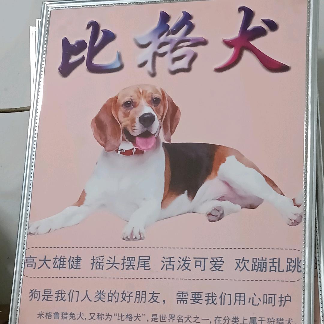 α余生