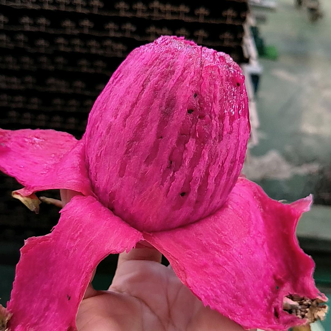 用户8710619220321梅梅