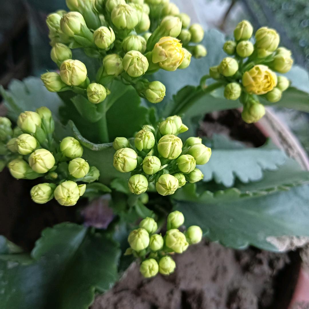 用户明人不说暗话