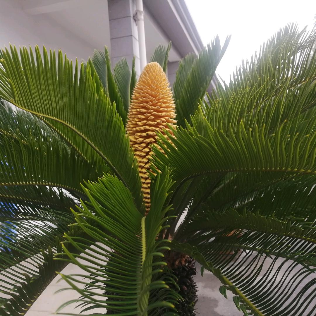 只是遇见