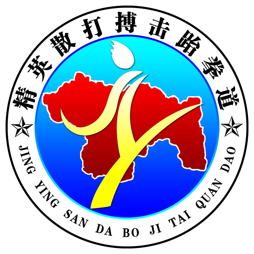精英武术散打搏击跆拳道—精英馆