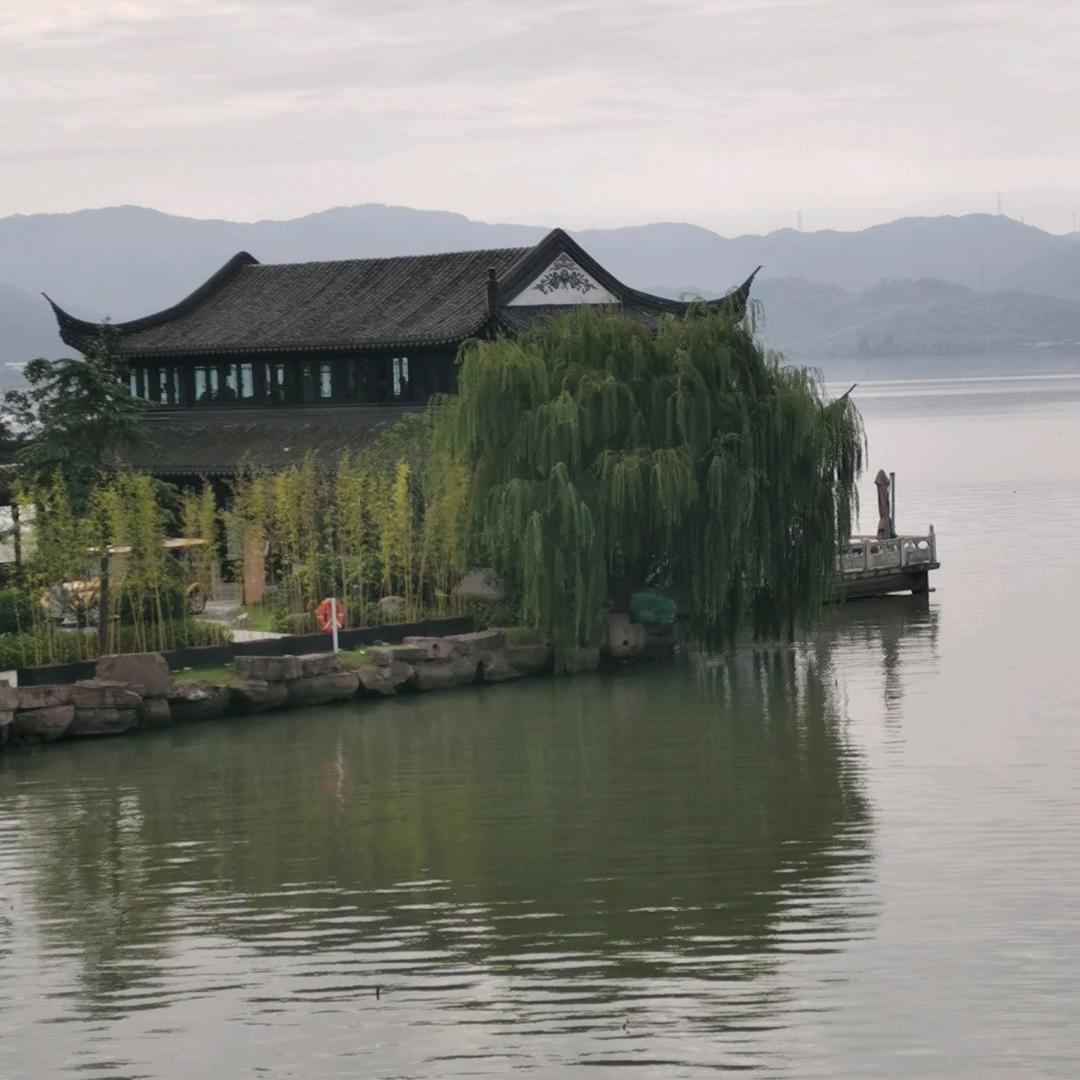 湖中仙