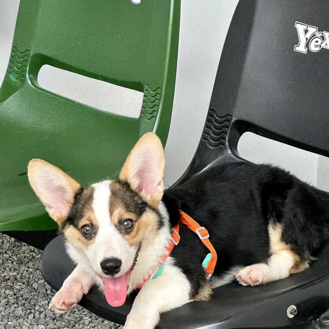 过自己喜欢的日子❤️总会有人喜欢❤️