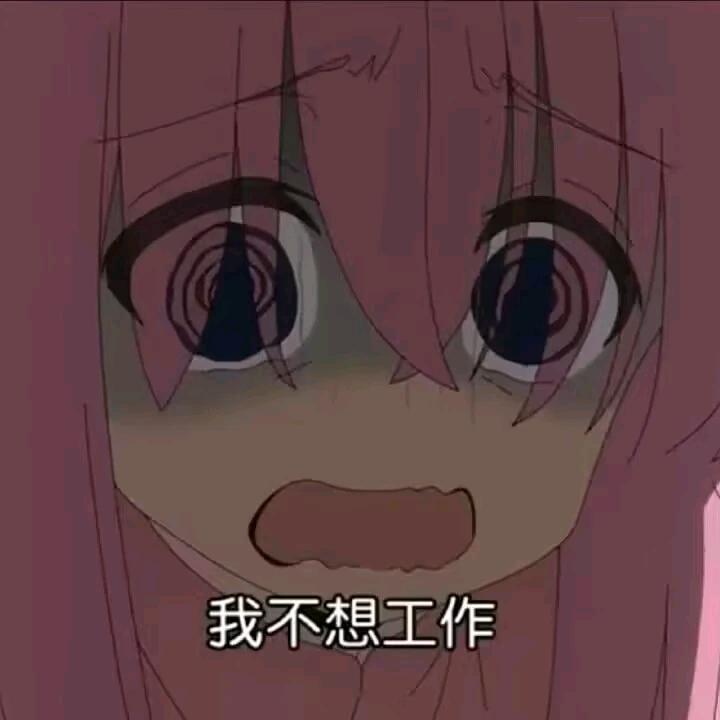 为了学分拼尽全力