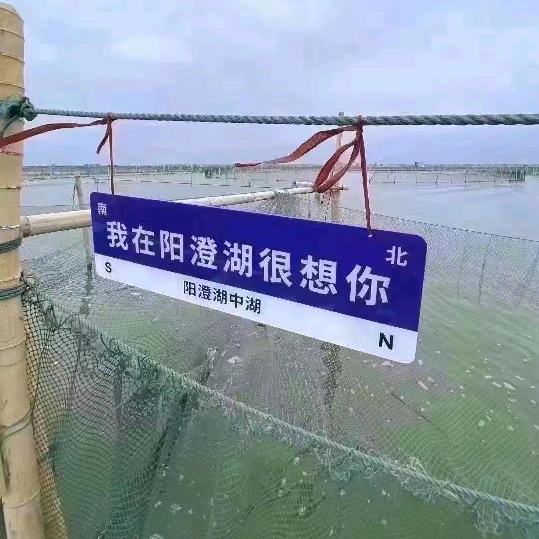 阳澄湖大闸蟹