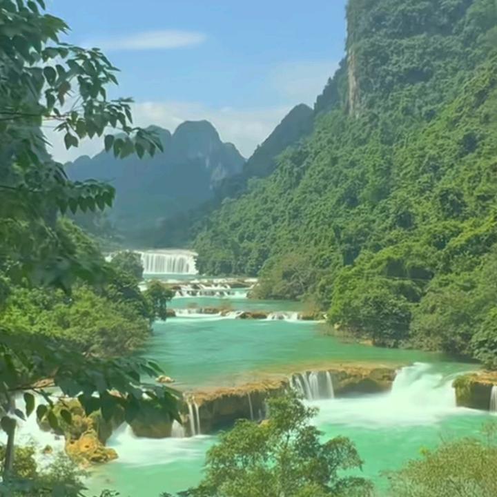 🌴零ꦿ໊又何总🍺🍺🍺