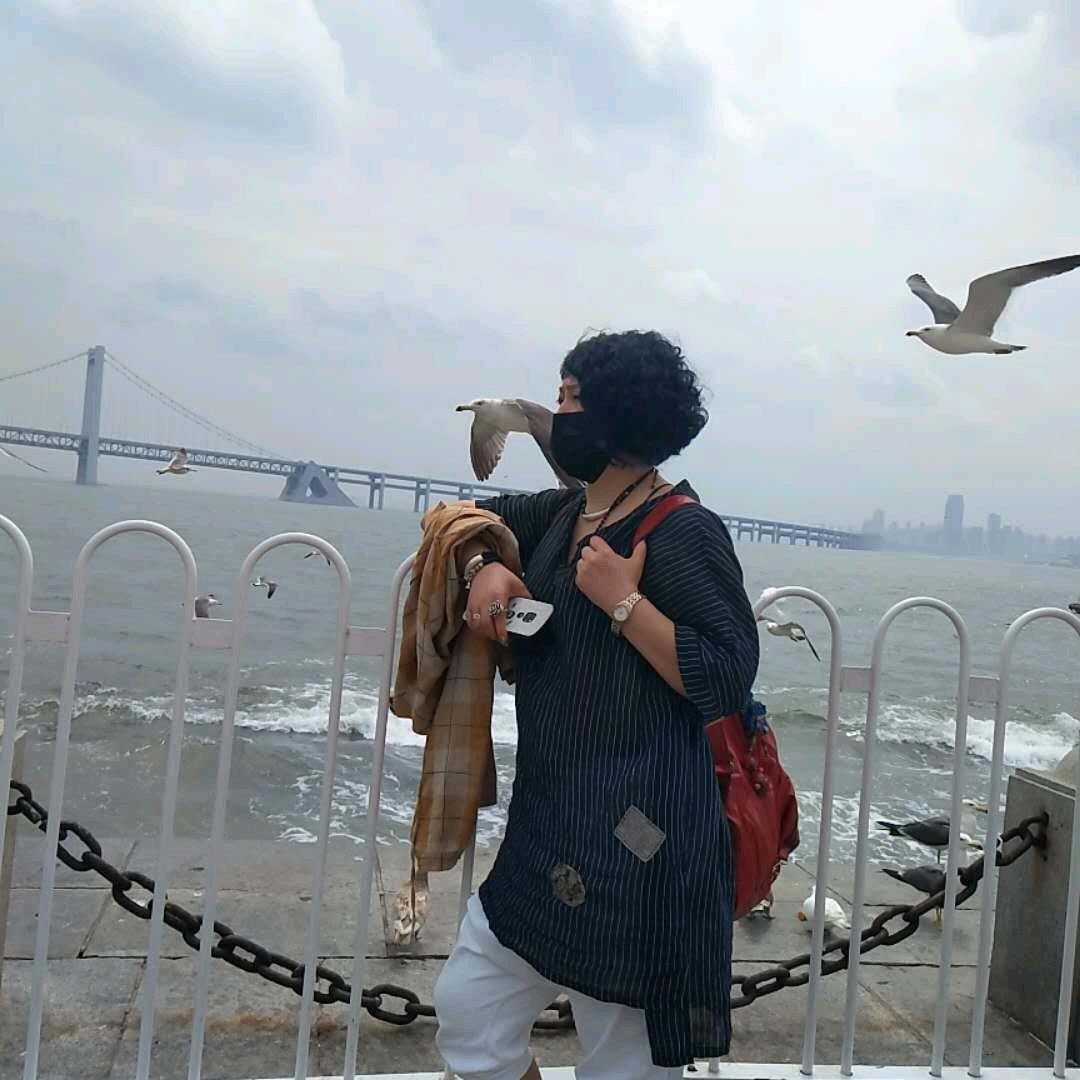 A招财猫