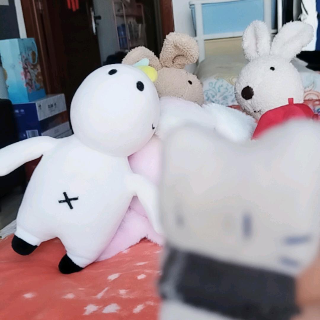 沉默的萝卜...