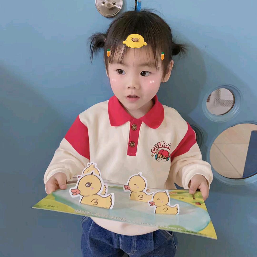 鸿