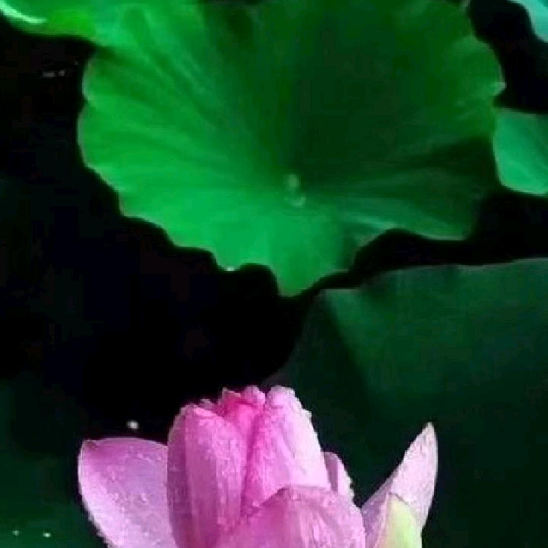 中国柒牌昌邑店