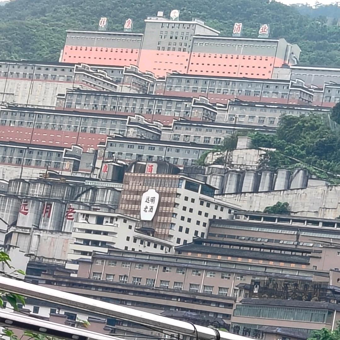 单身哥