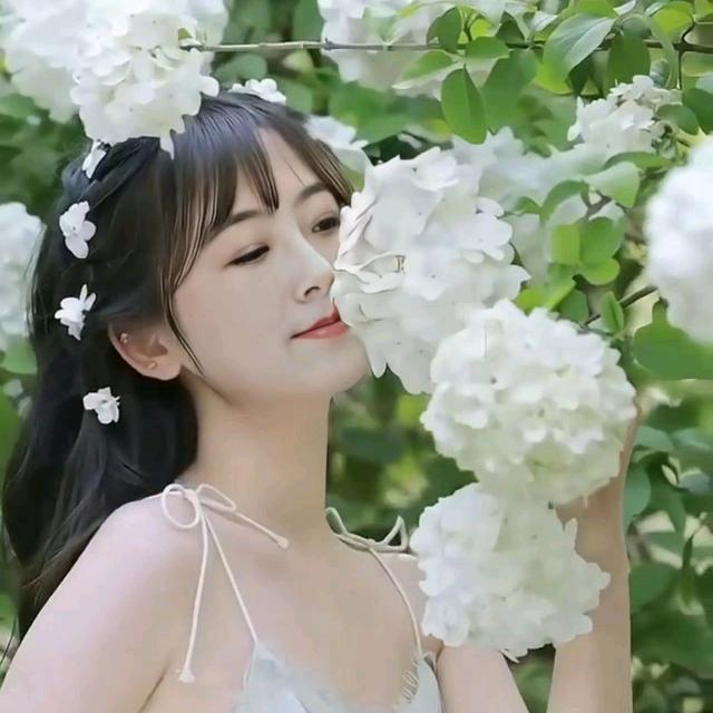 苗苗