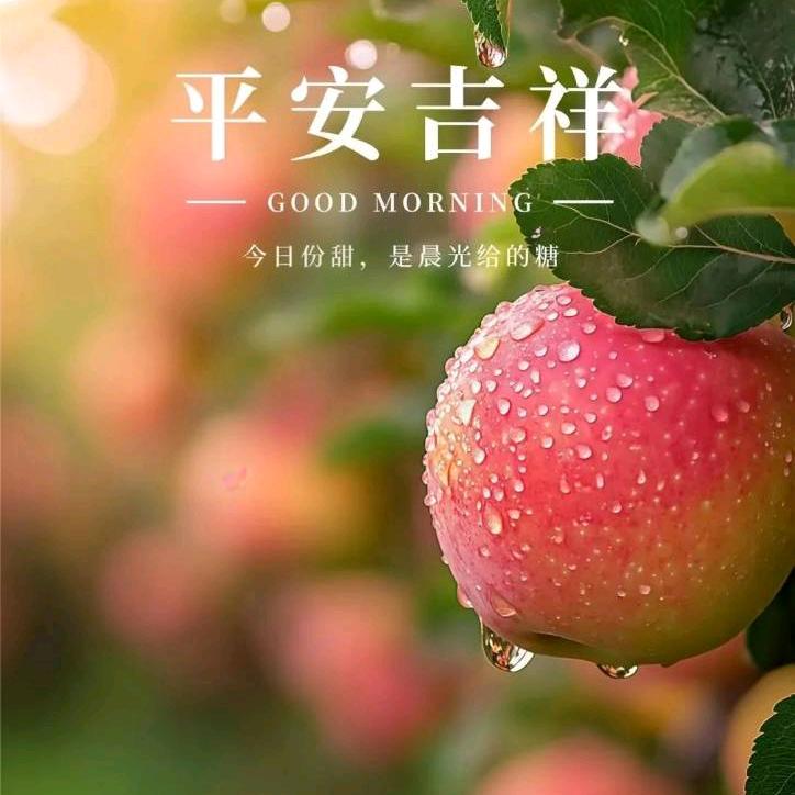 高保红书画 （笔墨风味，大洲书画）
