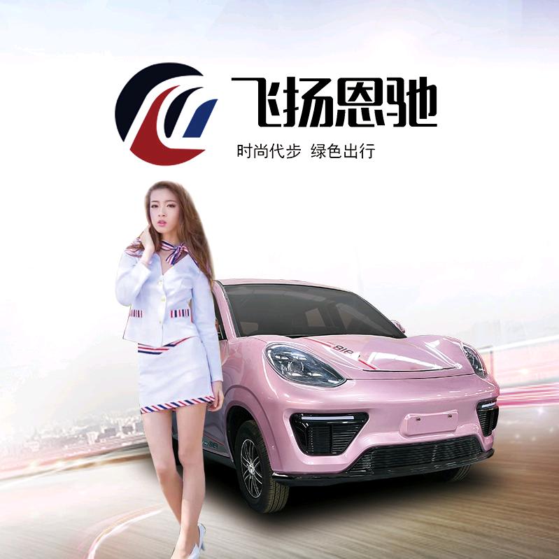 新能源代步车工厂 二黑