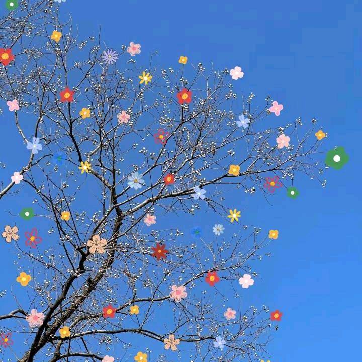 谁的新欢不是别人的旧爱