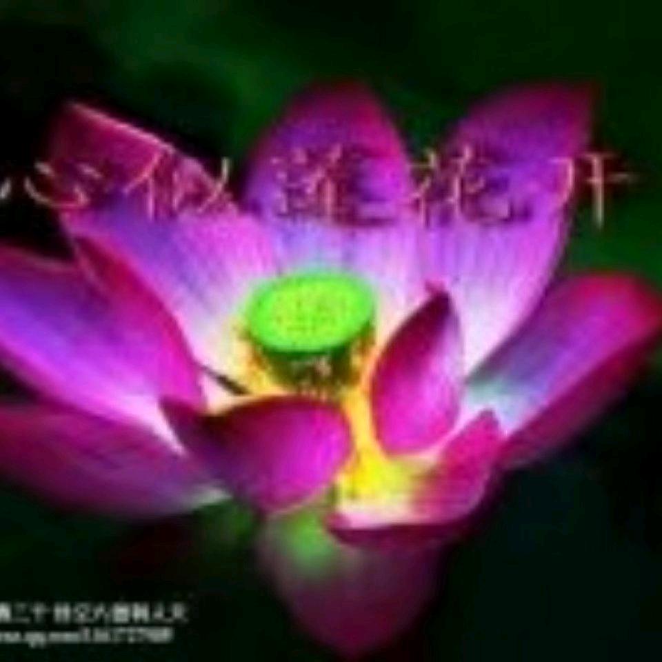 康康丢了家有六宝