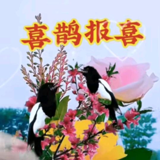 永乐😂