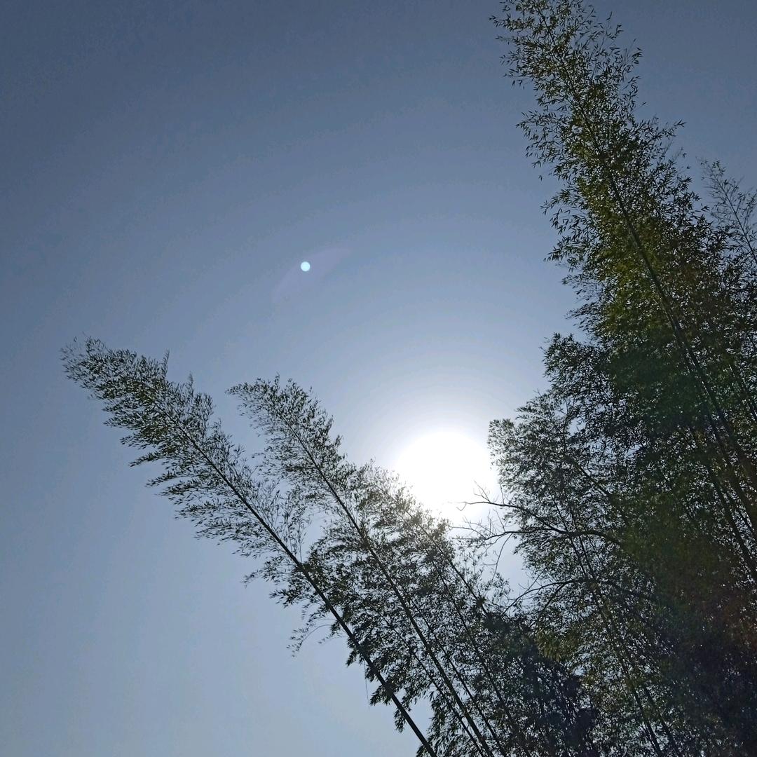 深圳市罗湖区升海贸易商行