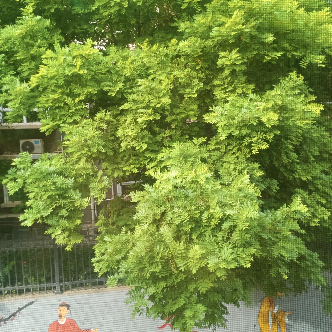 泪目(´；ω；`)