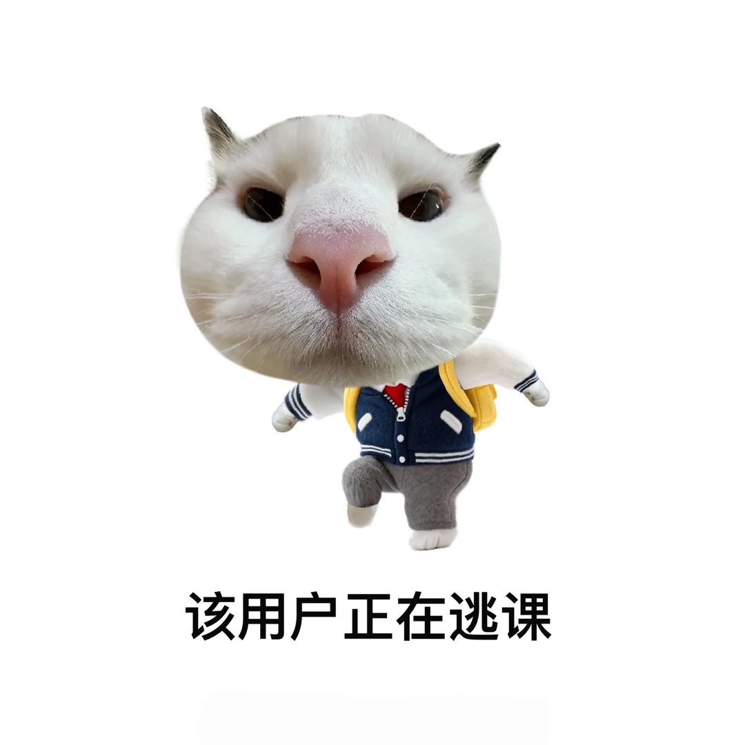 玉米硫酸爱吃饭