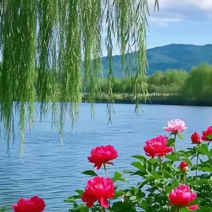 闲时会晤头像
