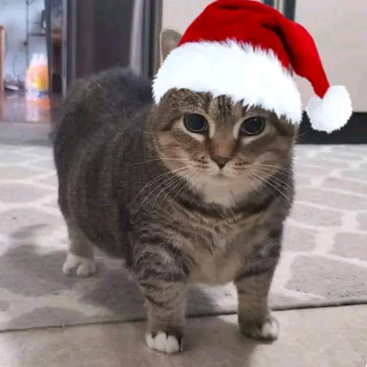 帅哥驾到通通闪开！