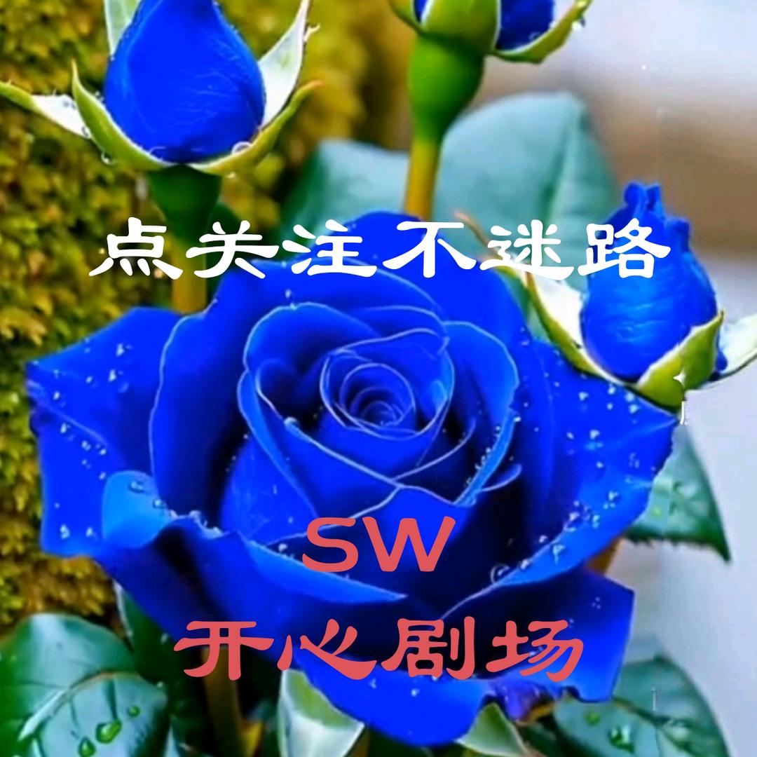 用户sw4264522797178