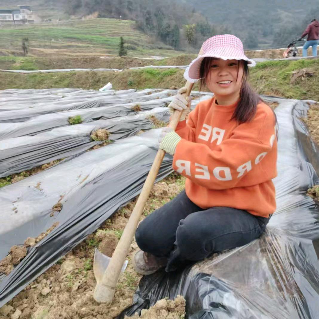 农村人（好酒不见）