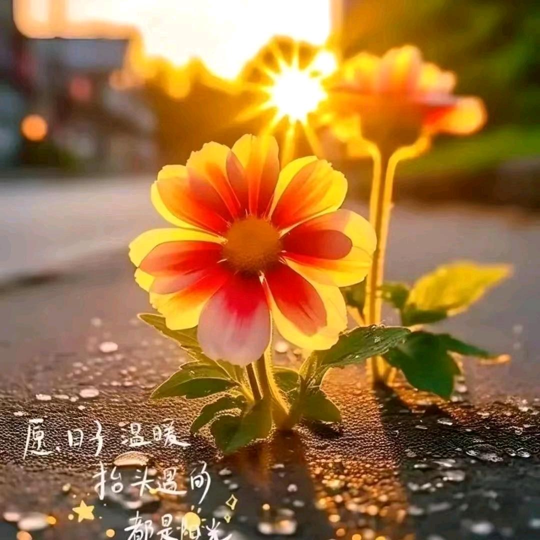 轻言轻语（꒰ঌ🤍໒꒱）