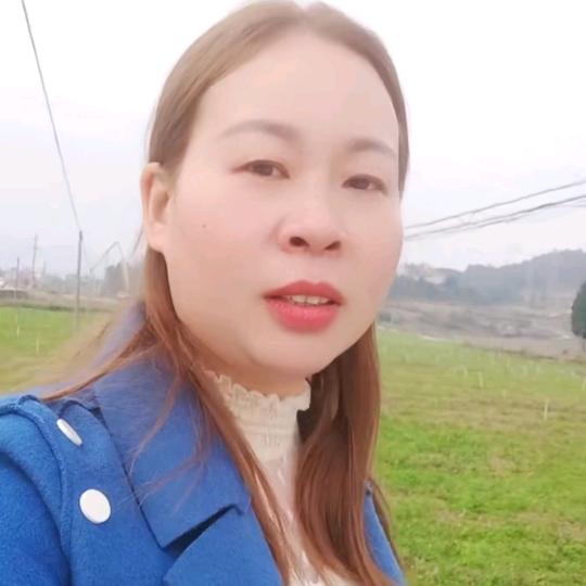 衢州鸭头金沙店邓姐