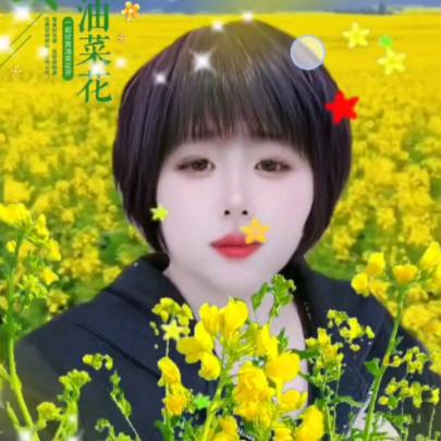 史有兰