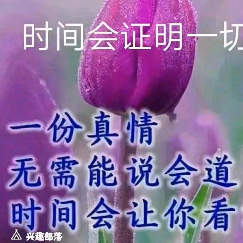 一心一意