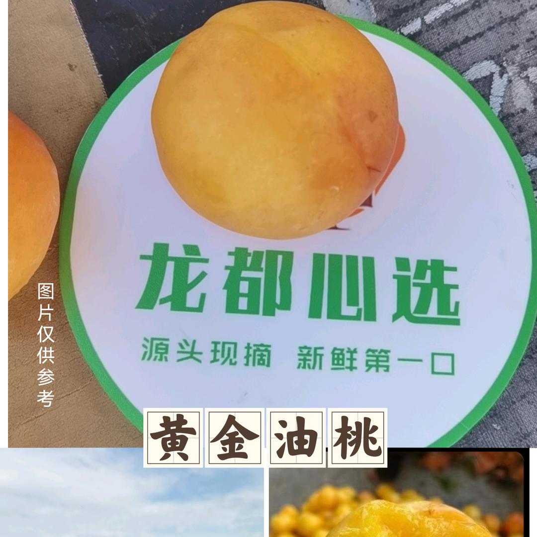 龙都心选【追溯源头】