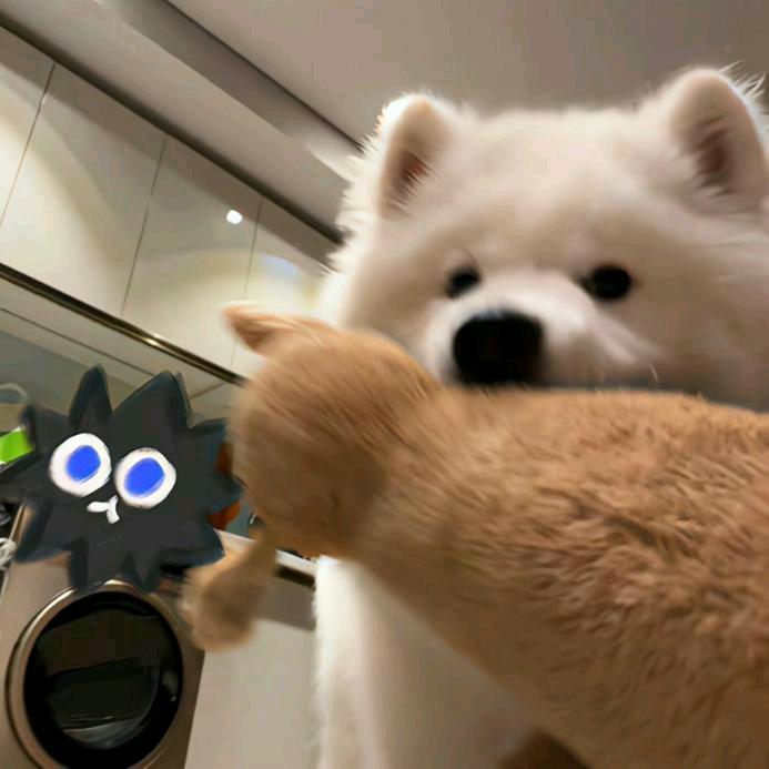 头头*