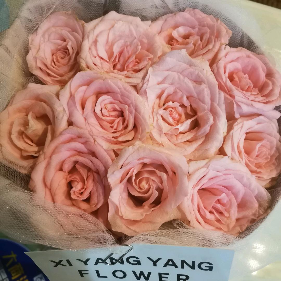 💓 挺好💓