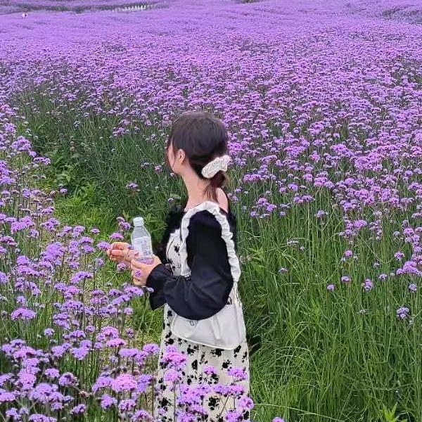 不淑女活到九十九(拒绝连赞)